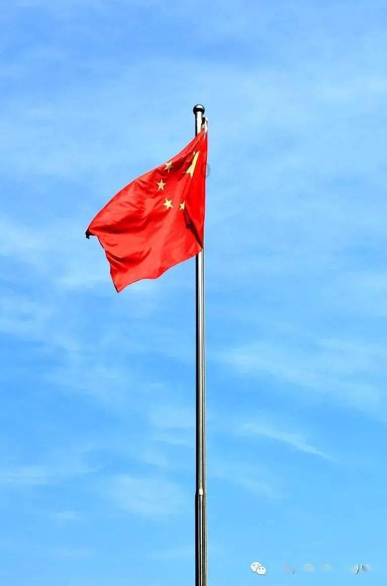 逗小猴开心系列169